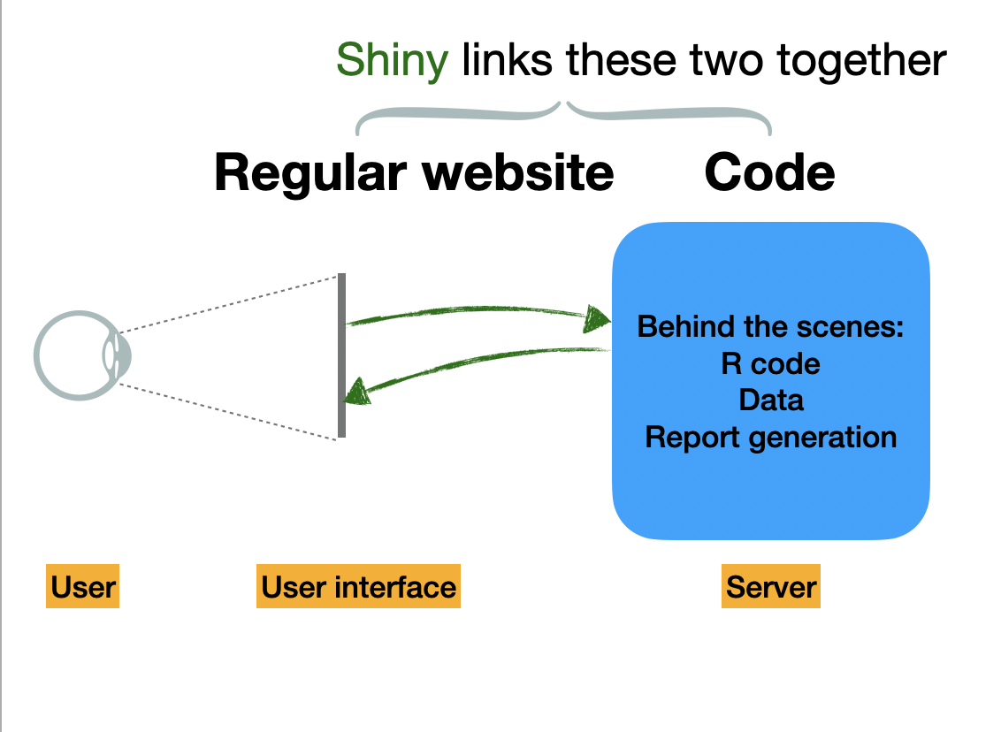 whatisshiny